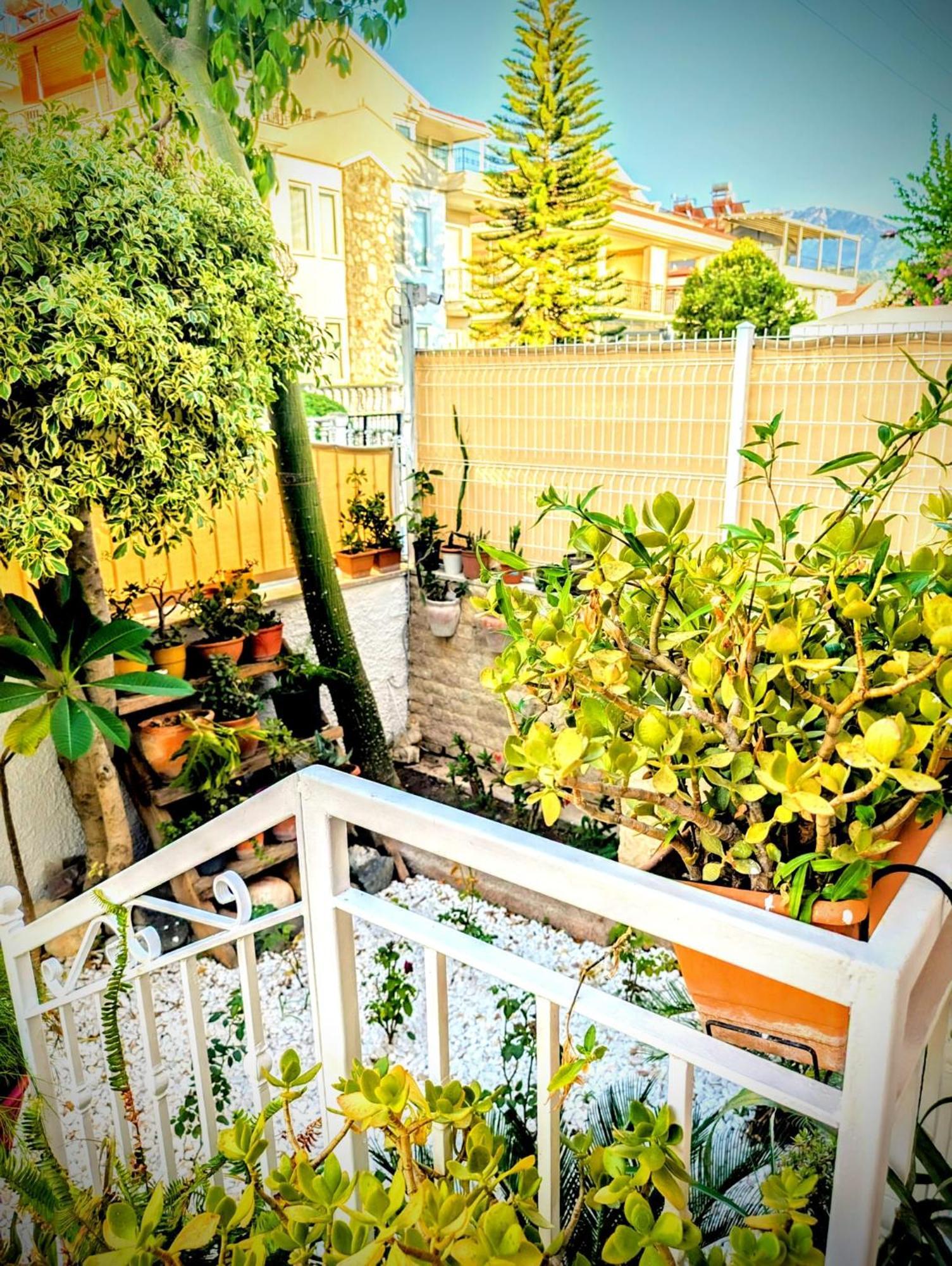 Villa Atlas Fethiye Exteriér fotografie